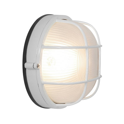 1 Light Wall Sconce