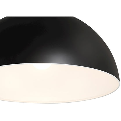 1 Light Pendant, Matte Black