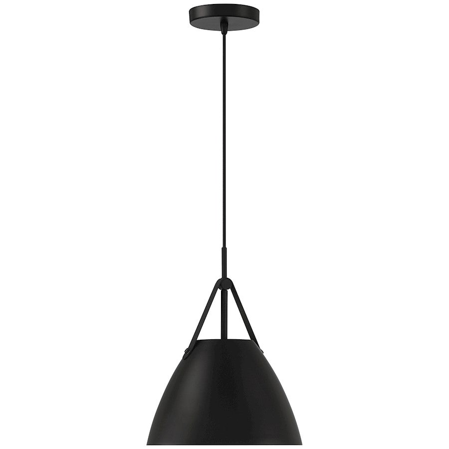 1 Light Pendant, Matte Black