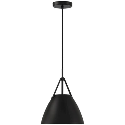 1 Light Pendant, Matte Black