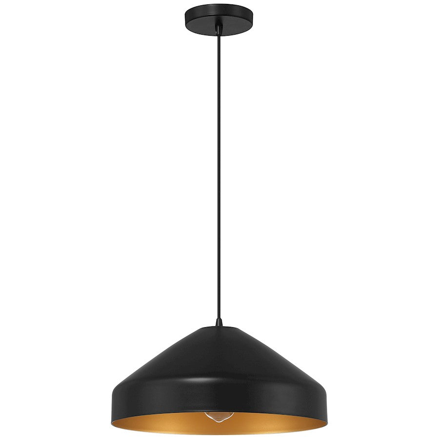 1 Light Pendant, Matte Black