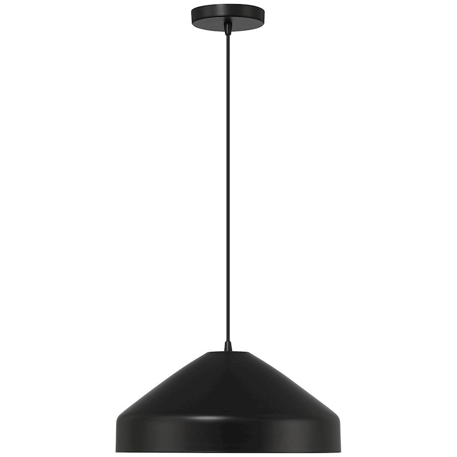 1 Light Pendant, Matte Black