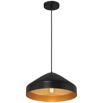 1 Light Pendant, Matte Black