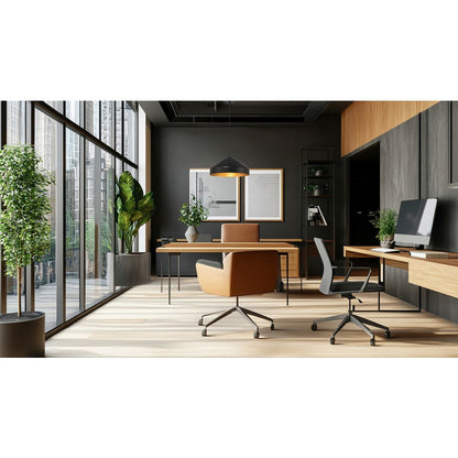 1 Light Pendant, Matte Black