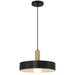 Access Lighting Slate 1 Light Pendant, Black/Brushed Brass/Black - 23798-BWA