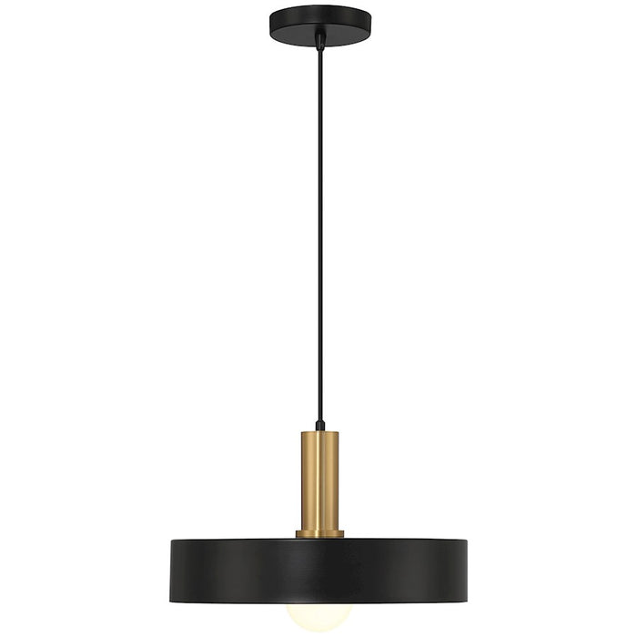 Access Lighting Slate 1 Light Pendant, Black/Brushed Brass/Black