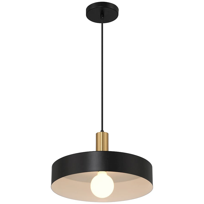 Access Lighting Slate 1 Light Pendant, Black/Brushed Brass/Black