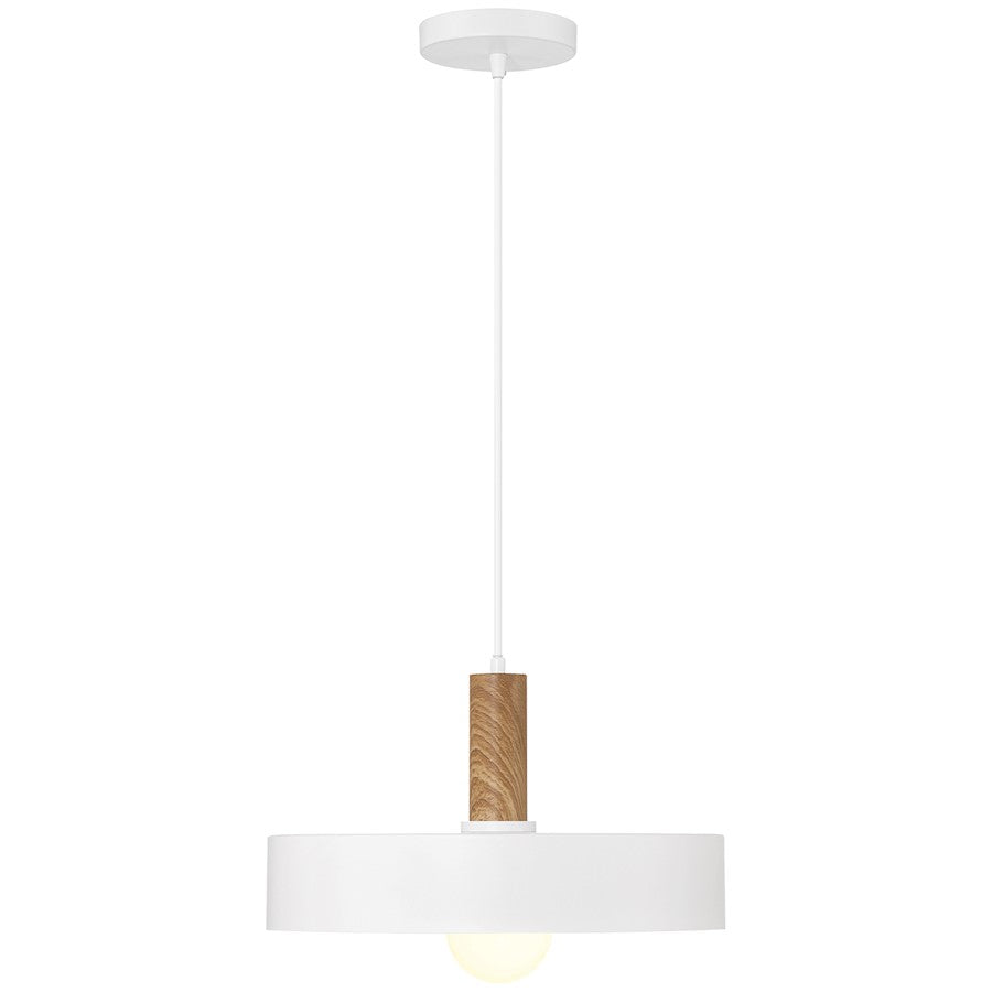 1 Light Pendant, White