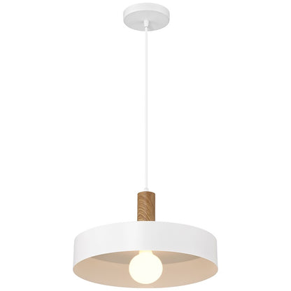 1 Light Pendant, White