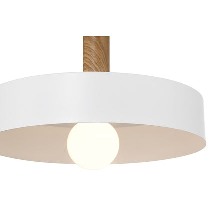 1 Light Pendant, White