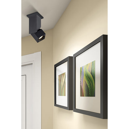 Access Transformer Dual Voltage LED Spotlight, Black/Clr