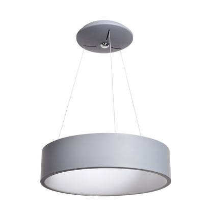 1 Light Pendant