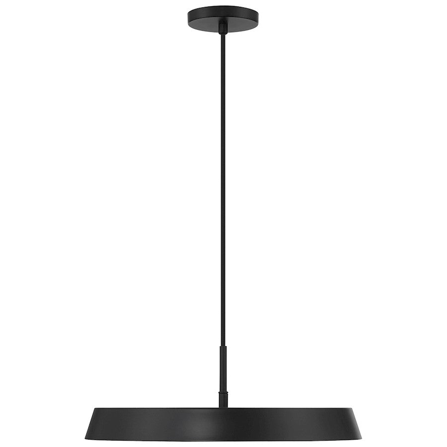 LED Pendant, Black/White