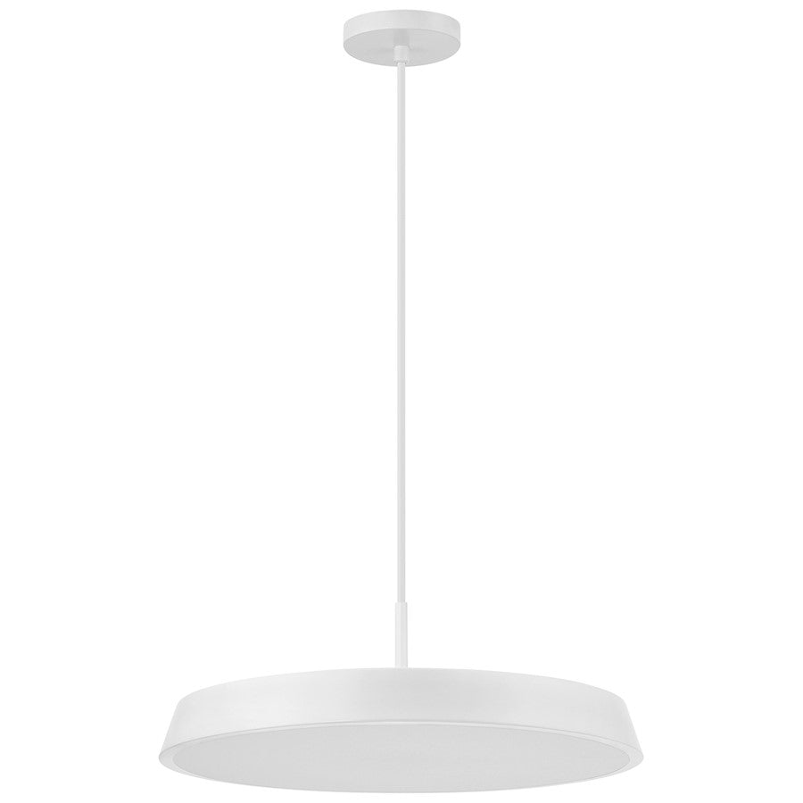 LED Pendant, White