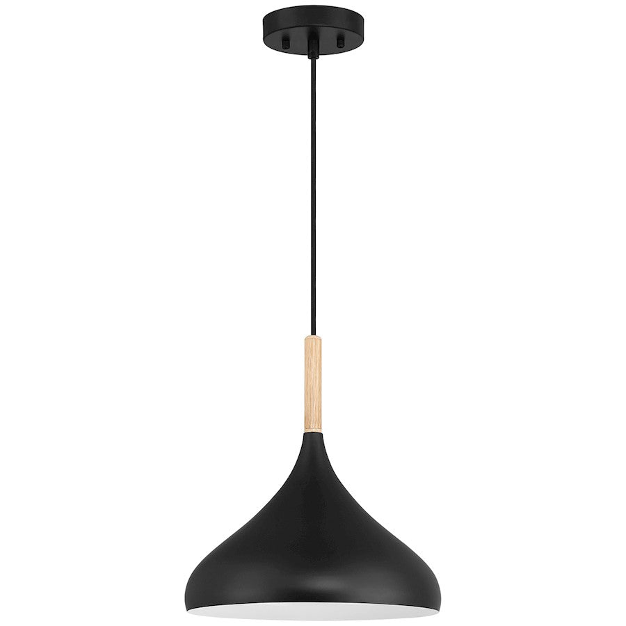 1 Light Pendant, Black