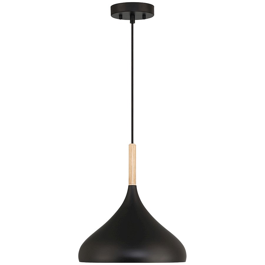 1 Light Pendant, Black