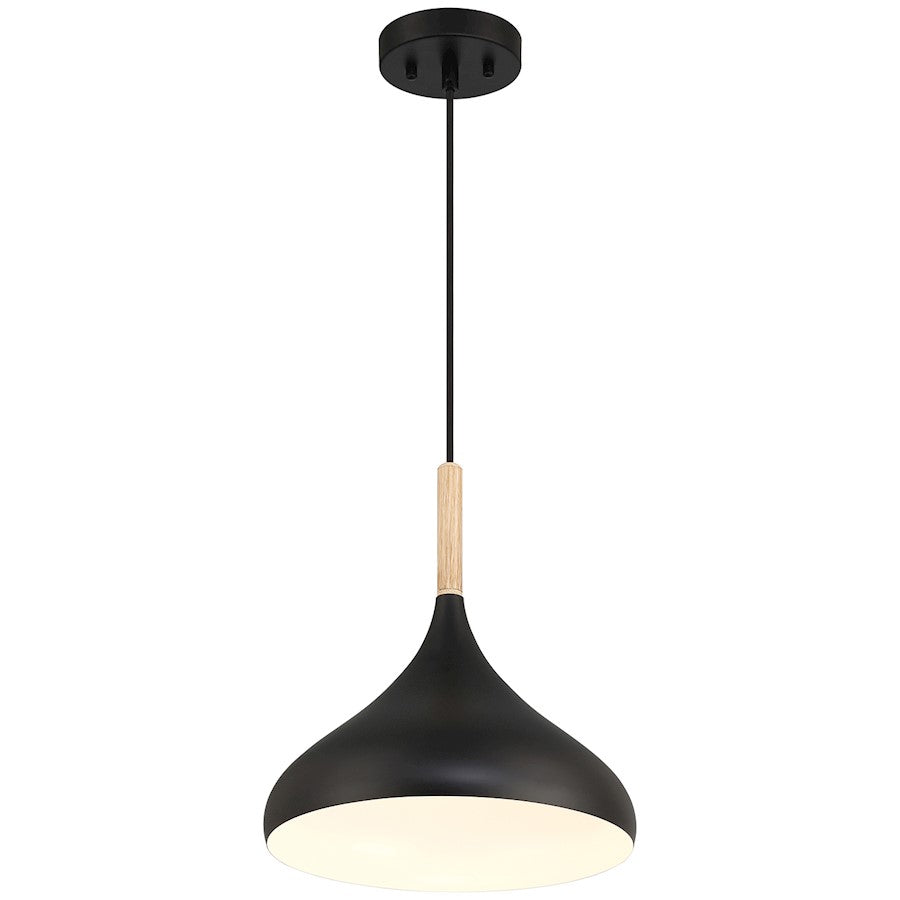 1 Light Pendant, Black