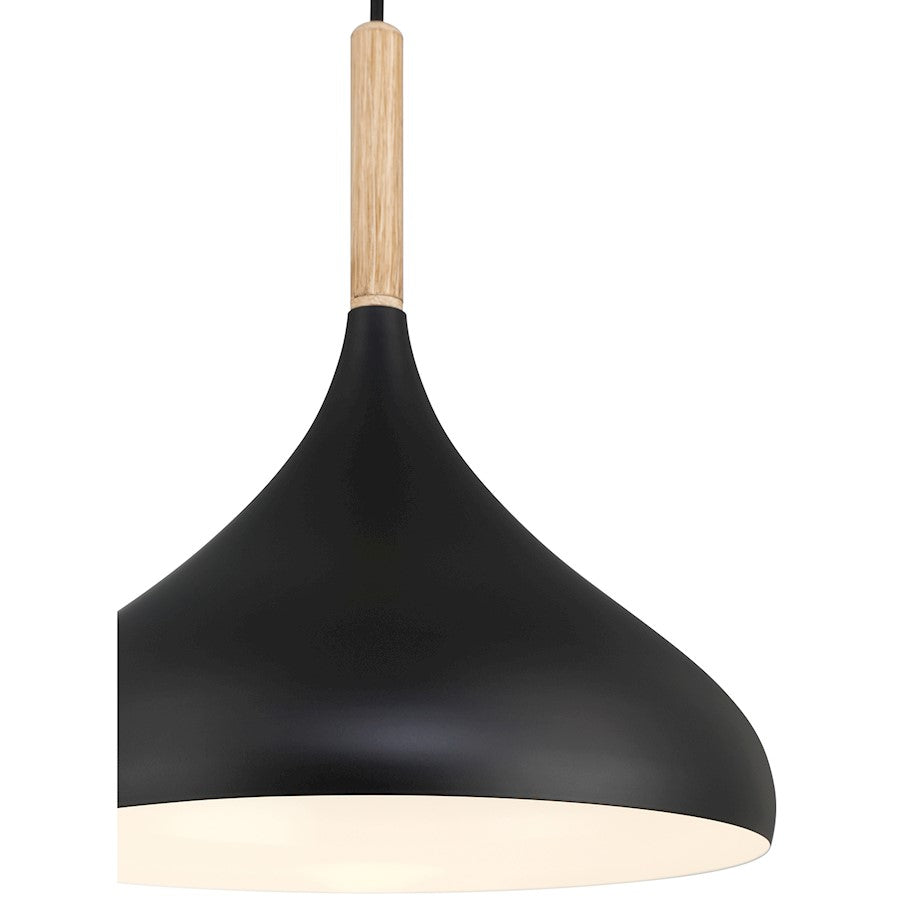 1 Light Pendant, Black