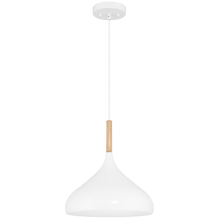 1 Light Pendant, White