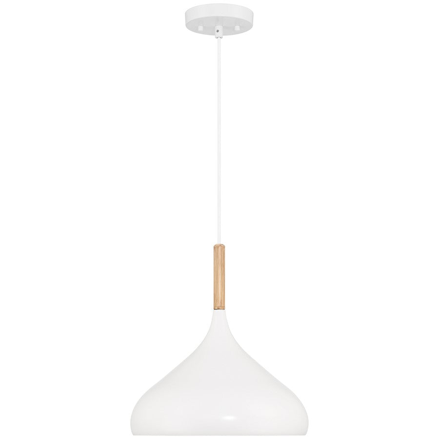 1 Light Pendant, White