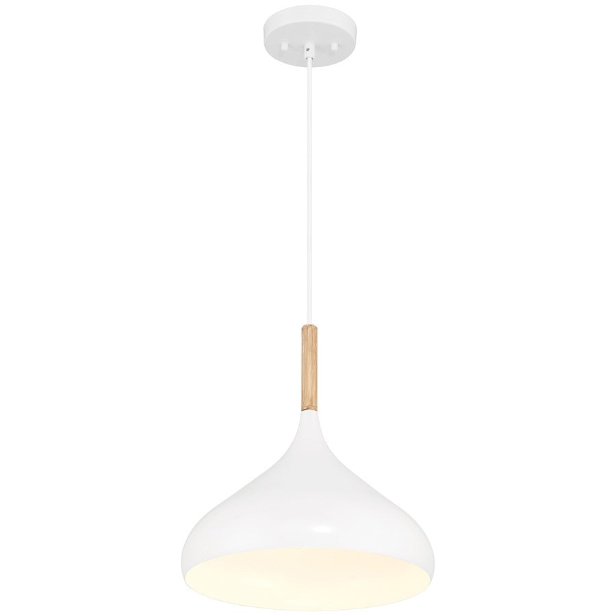 1 Light Pendant, White