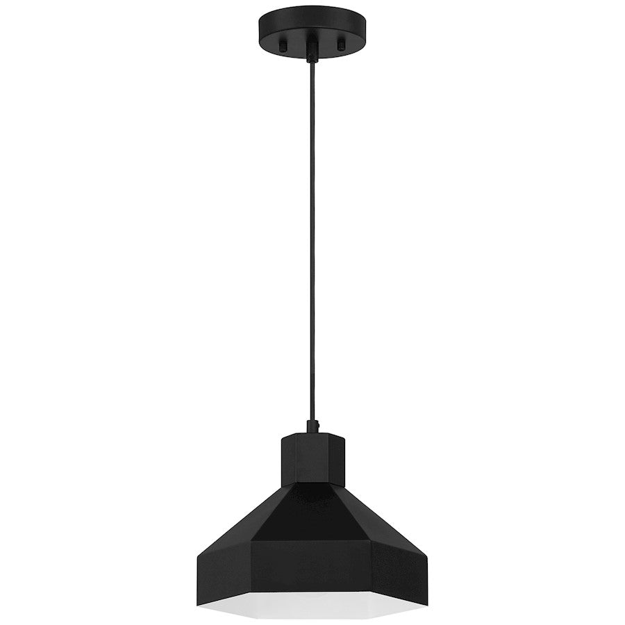 1 Light Pendant, Matte Black