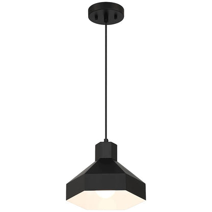 1 Light Pendant, Matte Black