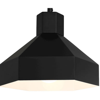 1 Light Pendant, Matte Black