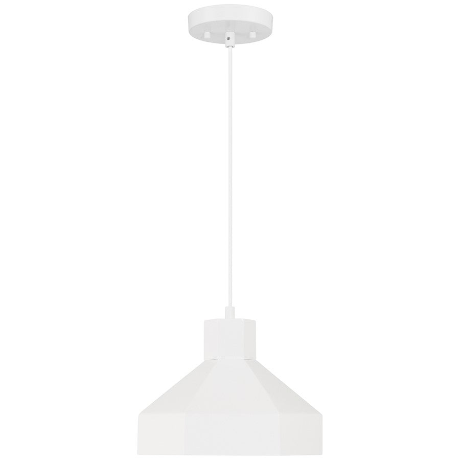 1 Light Pendant, Matte White