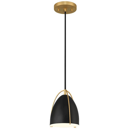 1 Light Pendant, Matte Black