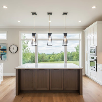 1 Light Pendant, Black