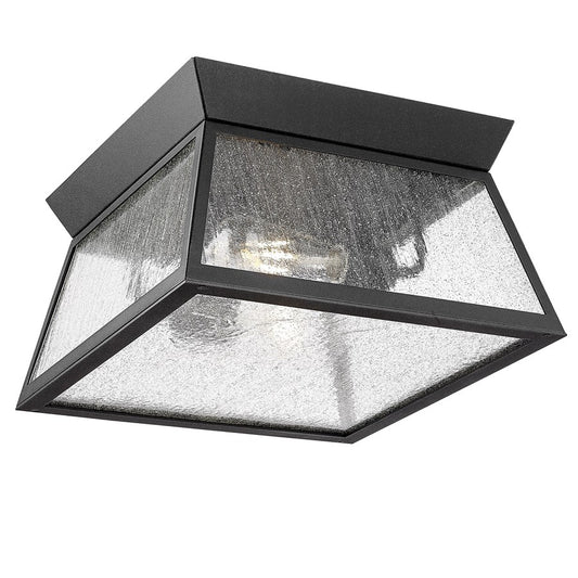 Artcraft Lucian 2 Light Outdoor Flush Mount, Black/Clear