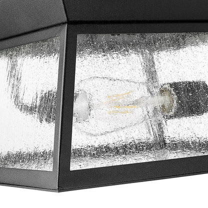 Artcraft Lucian 2 Light Outdoor Flush Mount, Black/Clear