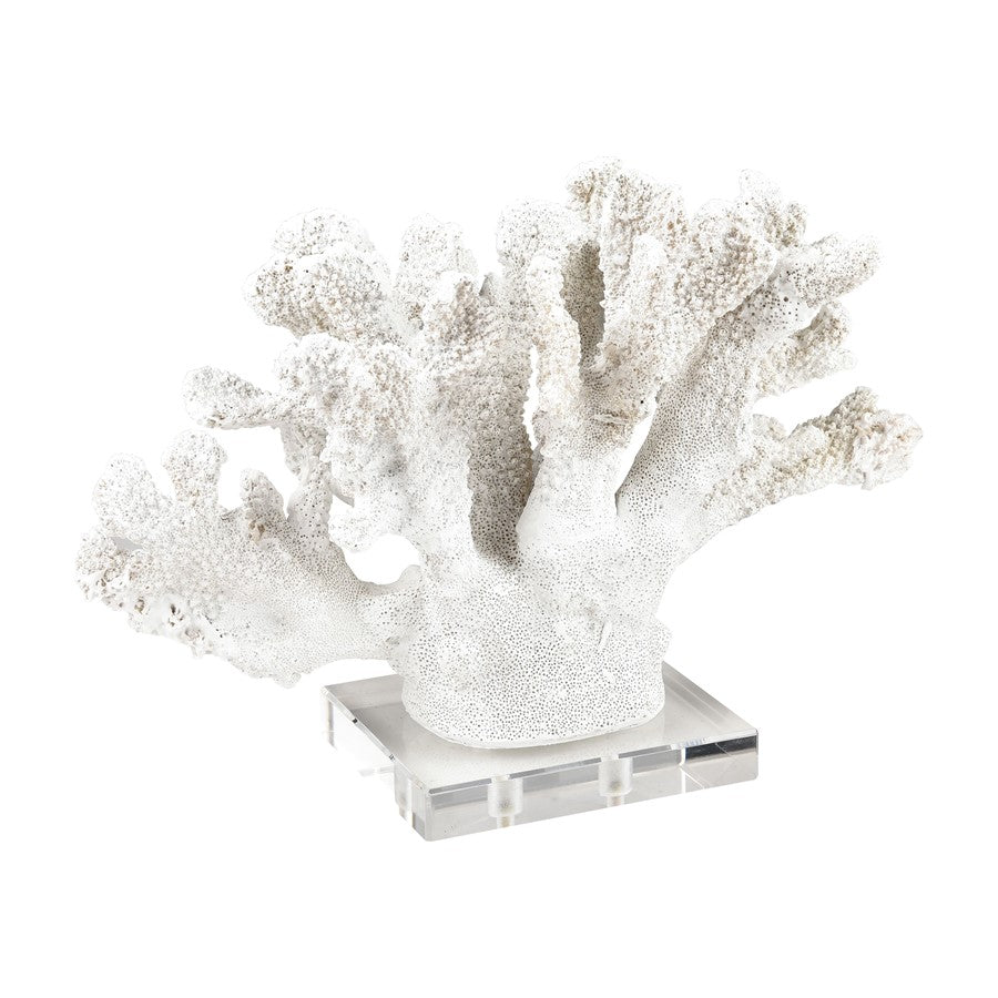 Atlas Lighting Coral Set of 2 White Resin Sculptures | Modern Organic Decor | Shelf & Tabletop Accent | 11.75 x 5 x 8.25 in | Model AC11203-01S