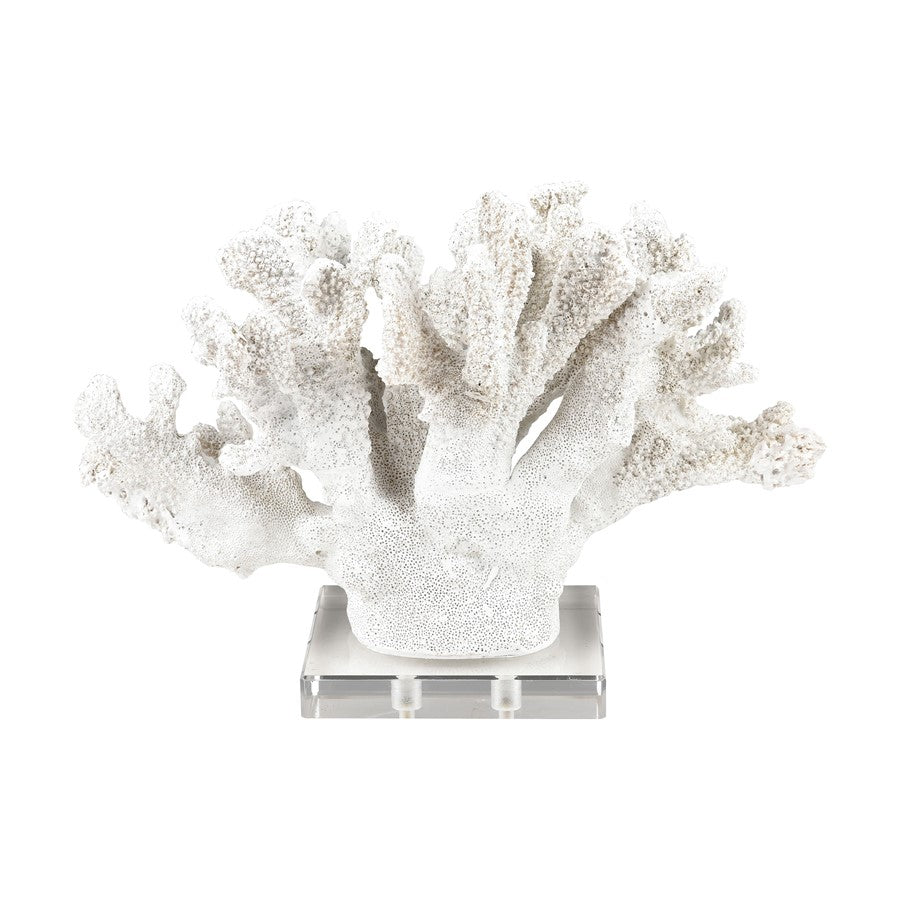 Atlas Lighting Coral Set of 2 White Resin Sculptures | Modern Organic Decor | Shelf & Tabletop Accent | 11.75 x 5 x 8.25 in | Model AC11203-01S