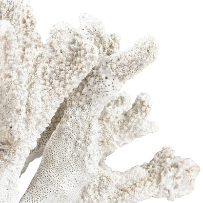 Atlas Lighting Coral Set of 2 White Resin Sculptures | Modern Organic Decor | Shelf & Tabletop Accent | 11.75 x 5 x 8.25 in | Model AC11203-01S