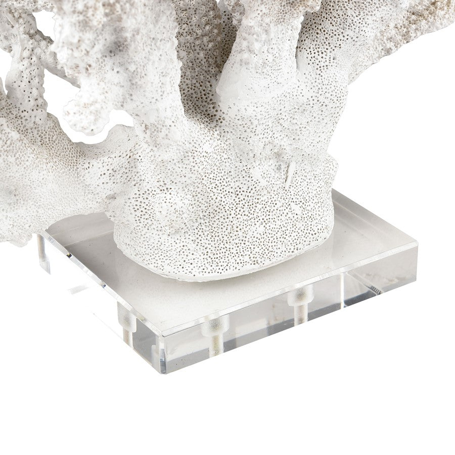 Atlas Lighting Coral Set of 2 White Resin Sculptures | Modern Organic Decor | Shelf & Tabletop Accent | 11.75 x 5 x 8.25 in | Model AC11203-01S