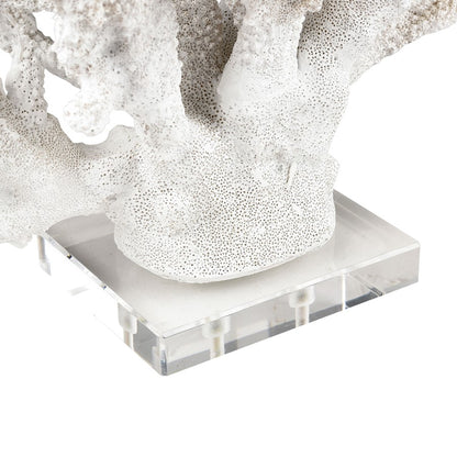 Atlas Lighting Coral Set of 2 White Resin Sculptures | Modern Organic Decor | Shelf & Tabletop Accent | 11.75 x 5 x 8.25 in | Model AC11203-01S