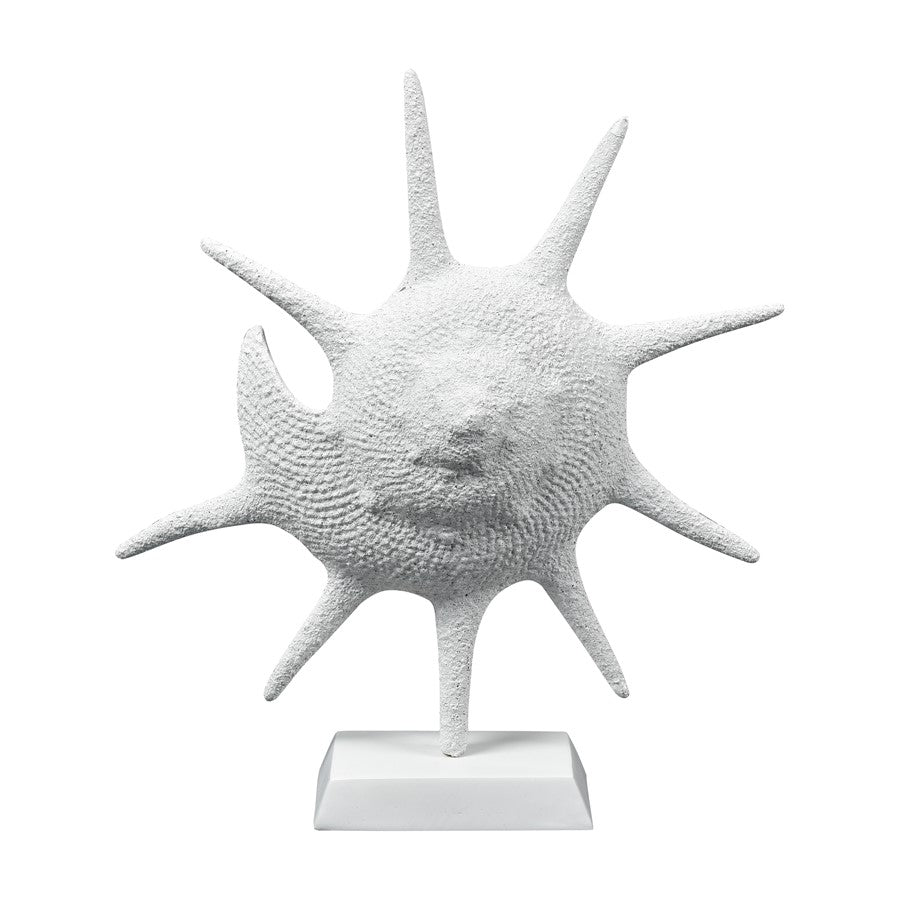 Atlas Lighting Marco Shell | Transitional Textured White Composite Sculpture | Coastal Living Room & Entryway Decor | Model AC11461-01