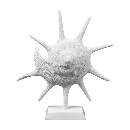 Atlas Lighting Marco Shell | Transitional Textured White Composite Sculpture | Coastal Living Room & Entryway Decor | Model AC11461-01