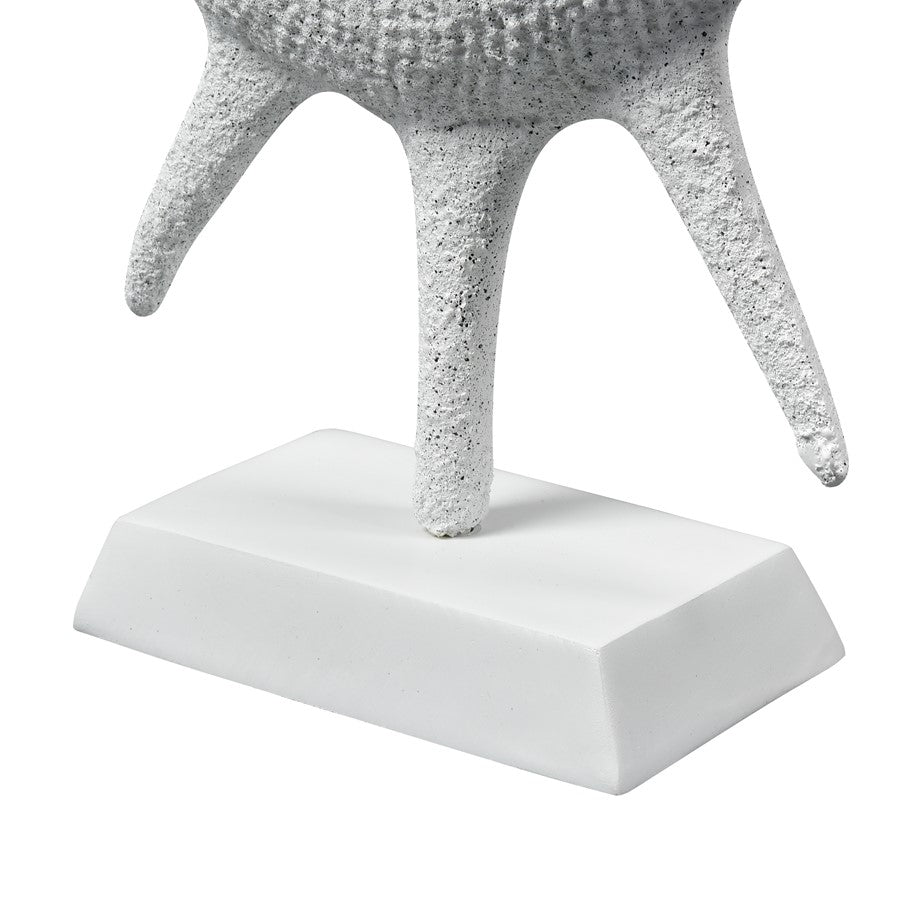 Atlas Lighting Marco Shell | Transitional Textured White Composite Sculpture | Coastal Living Room & Entryway Decor | Model AC11461-01