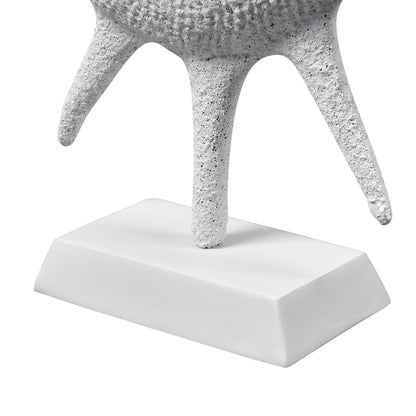 Atlas Lighting Marco Shell | Transitional Textured White Composite Sculpture | Coastal Living Room & Entryway Decor | Model AC11461-01
