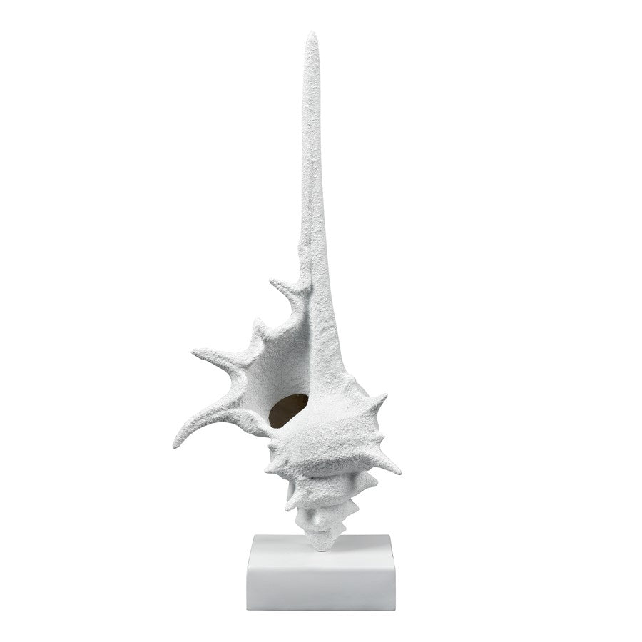 Atlas Lighting Tigertail Shell | Textured White Resin Sculpture on Stand | Coastal Shelf, Console & Entryway Decor | 12 x 9 x 30 in | Model AC11641-01