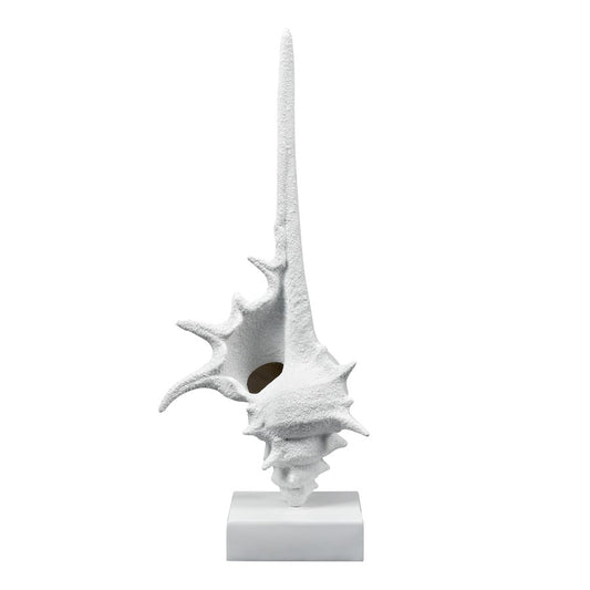 Atlas Lighting Tigertail Shell | Textured White Resin Sculpture on Stand | Coastal Shelf, Console & Entryway Decor | 12 x 9 x 30 in | Model AC11641-01