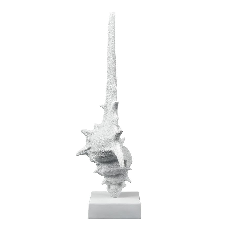 Atlas Lighting Tigertail Shell | Textured White Resin Sculpture on Stand | Coastal Shelf, Console & Entryway Decor | 12 x 9 x 30 in | Model AC11641-01