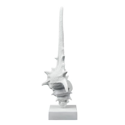 Atlas Lighting Tigertail Shell | Textured White Resin Sculpture on Stand | Coastal Shelf, Console & Entryway Decor | 12 x 9 x 30 in | Model AC11641-01