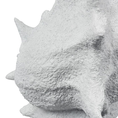 Atlas Lighting Tigertail Shell | Textured White Resin Sculpture on Stand | Coastal Shelf, Console & Entryway Decor | 12 x 9 x 30 in | Model AC11641-01