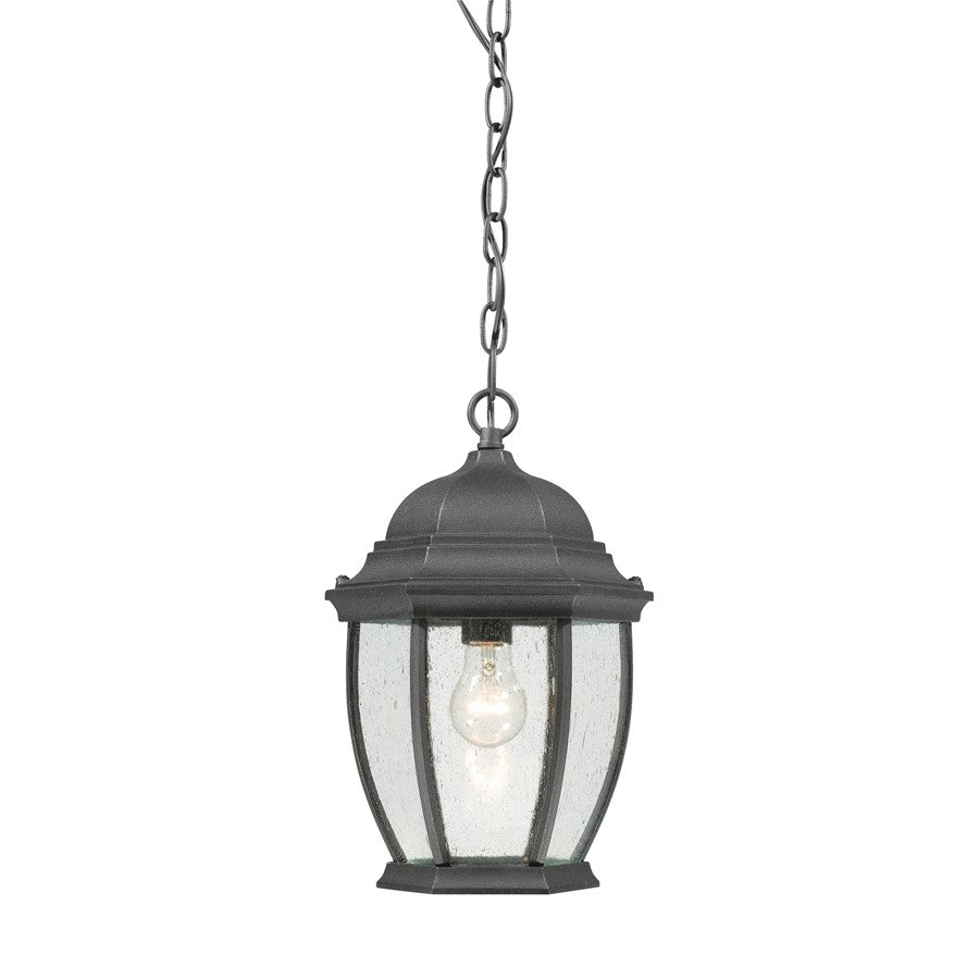 Atlas Lighting Covington 9in 1-Light Outdoor Pendant | Traditional Black and Clear Glass | Covered Porch & Entryway | 9 x 9 x 14 in | Model OL11027-BK