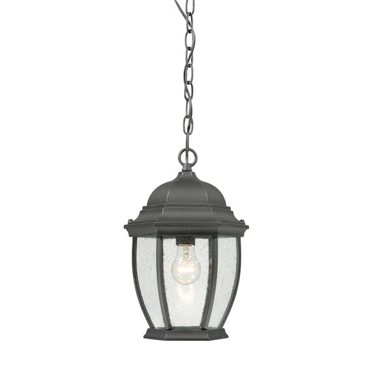 Atlas Lighting Covington 9in 1-Light Outdoor Pendant | Traditional Black and Clear Glass | Covered Porch & Entryway | 9 x 9 x 14 in | Model OL11027-BK