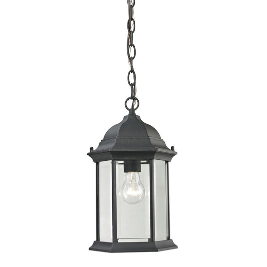 Atlas Lighting Spring Lake 8in 1-Light Outdoor Pendant | Traditional Matte Black and Clear Glass | Covered Patio & Entryway | Model OL11046-BK
